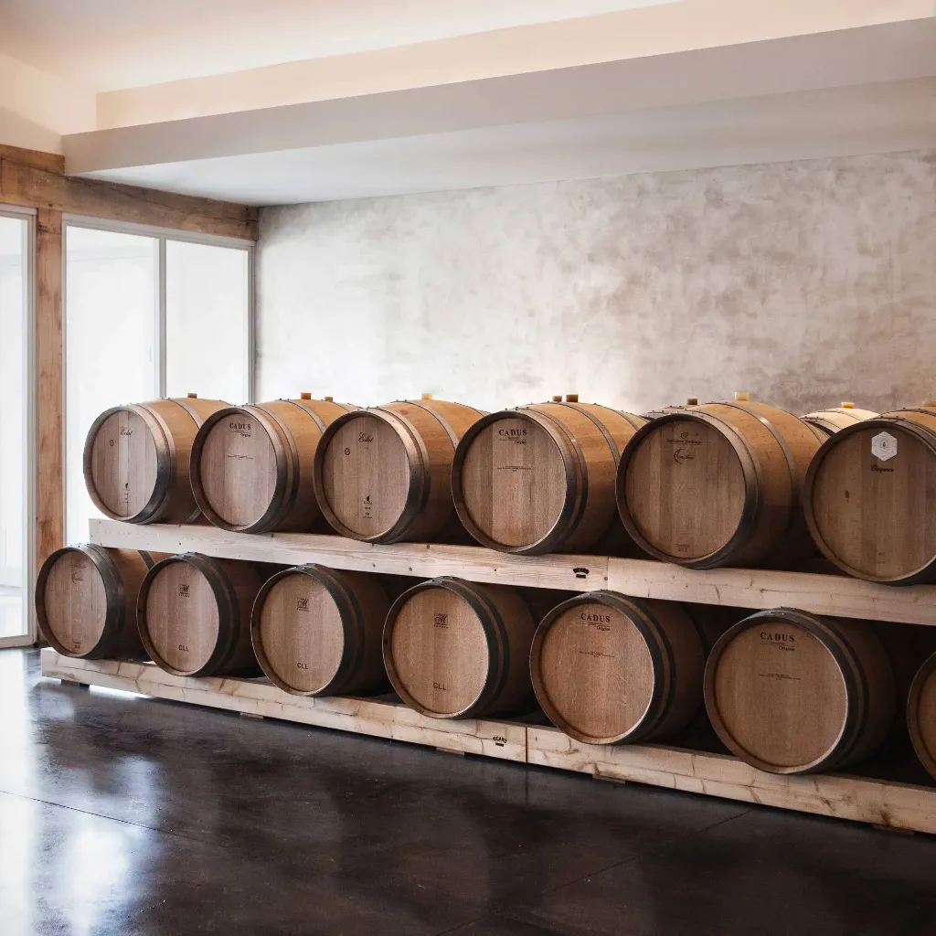BADETTE_MG_3781_1_74d0e8e395.webp